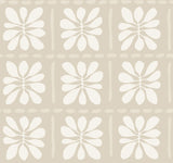 York Wallcoverings ZM2808 Mimosa Fleur Nude abstract floral non woven wallpaper roll