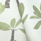 Painted Oasis Leaf Green by York Wallcoverings Tropical Wallpaper – York Wallcoverings ZM2839