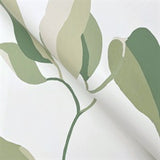 Brushwork Branches Leaf Green by York Wallcoverings Botanical Wallpaper- York Wallcoverings ZM2872