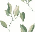 Brushwork Branches Leaf Green wallpaper by York Wallcoverings
