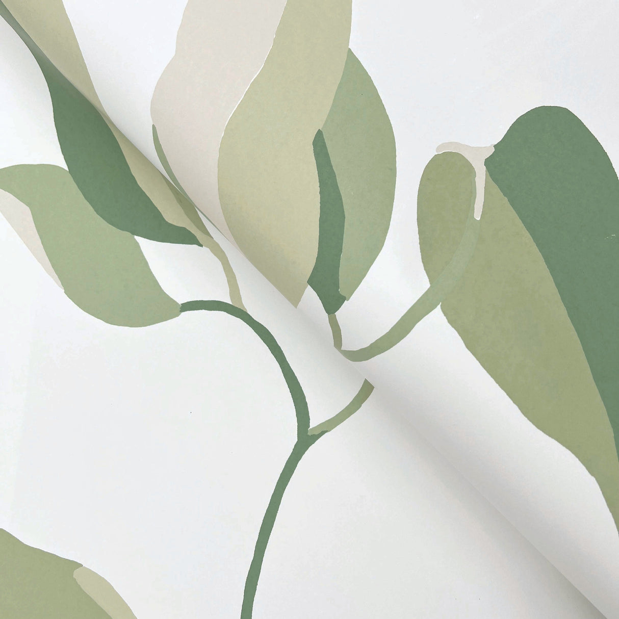 Brushwork Branches Leaf Green by York Wallcoverings Botanical Wallpaper- York Wallcoverings ZM2872