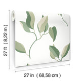 Brushwork Branches Leaf Green by York Wallcoverings Botanical Wallpaper- York Wallcoverings ZM2872