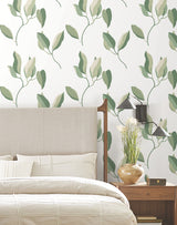 Brushwork Branches Leaf Green by York Wallcoverings Botanical Wallpaper- York Wallcoverings ZM2872