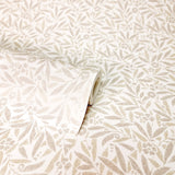 Rabanne Neutral by Fine Decor Ditsy Leaves Botanical Wallpaper – Brewster Home Fashions FD43824