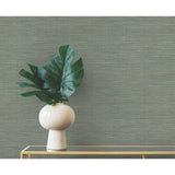 Winn Green by Warner Faux Grasscloth Wallpaper – Brewster Home Fashions 4174-4604