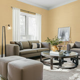 HARUKI SISAL Oatmeal Grasscloth Wallpaper – Schumacher 5004701