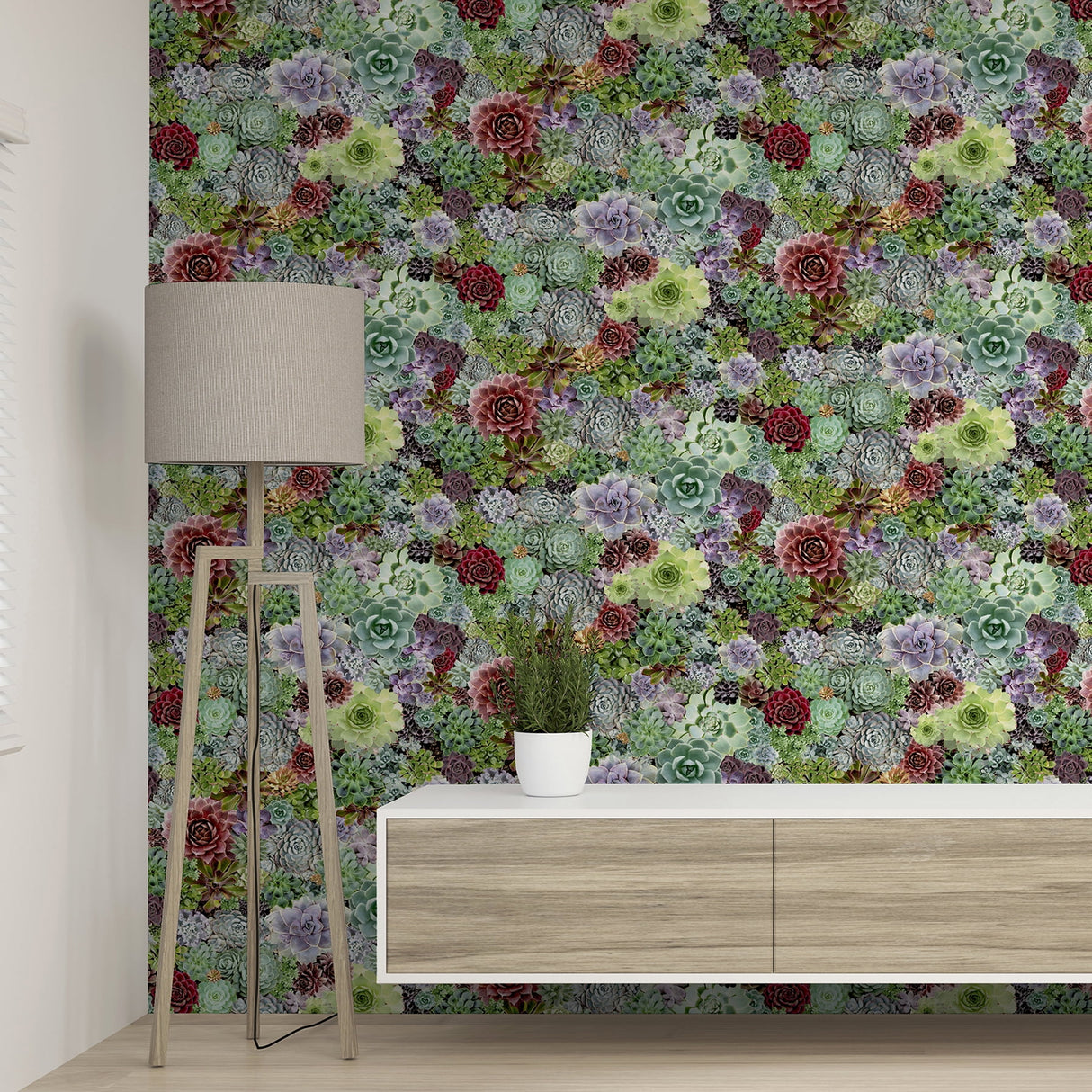Rhea Multicolor by Arthouse Succulents Wallpaper – Brewster Home Fashions AH259402