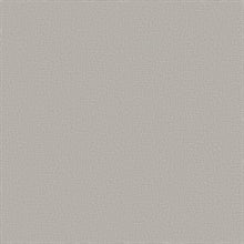 Cary Grey by Warner Petite Maze Wallpaper – Brewster Home Fashions 4207-5412