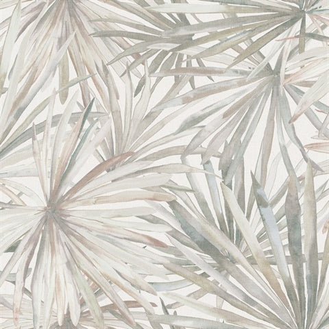 Corifa Cream Palm Leaf Wallpaper by A-Street Prints, SKU 4193-7450