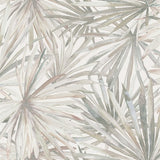 Corifa Cream Palm Leaf Wallpaper by A-Street Prints, SKU 4193-7450