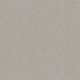 Dustan Taupe Distressed Wallpaper – Antonina Vella MA35525