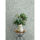 Poppy Trail Light Blue by Chesapeake Floral Wallpaper – Brewster Home Fashions 4169-83134