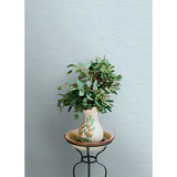 Agave Sky Blue by Chesapeake Faux Grasscloth Wallpaper – Brewster Home Fashions 4169-24283