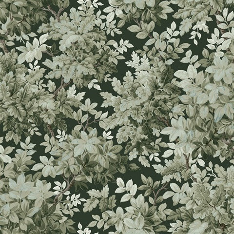 A-Street Prints Greenwood Dark Green Deciduous Wallpaper pattern, SKU 4147-80004