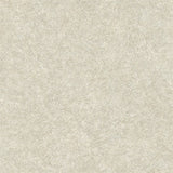 York Wallcoverings Impression Grey Wallpaper GN2614 roll, 27 in x 27 ft