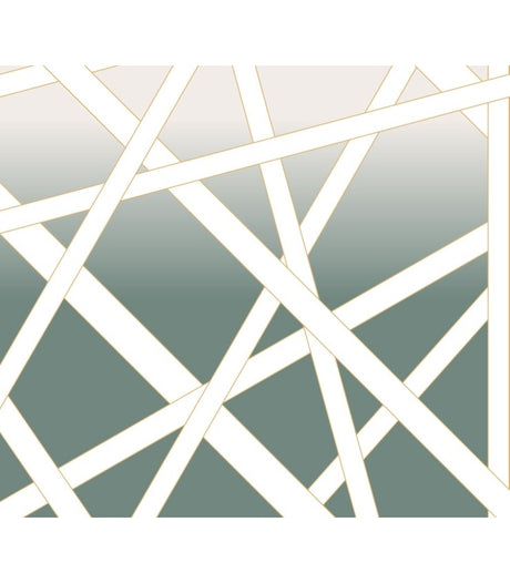Nastri Shade Green Wall Mural by Missoni