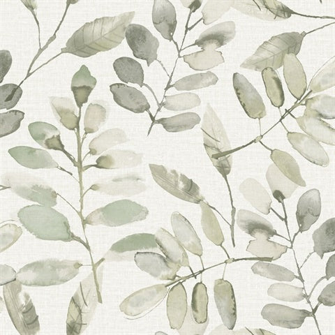 Pinnate Green Leaves botanical wallpaper by Chesapeake in watercolor greens