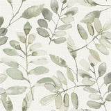 Pinnate Green Leaves botanical wallpaper by Chesapeake in watercolor greens