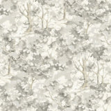 Thicket Charcoal Forest Wallpaper by Chesapeake