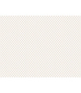 Brioni Rose Floral Stamp Wallpaper in Pink by Antonina Vella