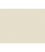 Brioni Cream Floral Stamp Wallpaper VP1396 by Antonina Vella