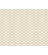 Brioni Cream by Antonina Vella Floral Stamp Wallpaper – York Designer Series VP1396