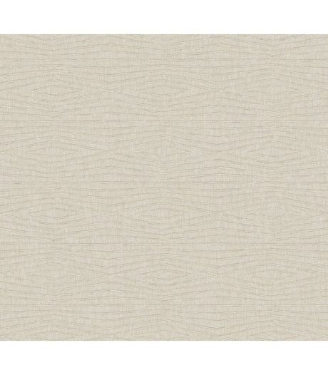 Daystone Taupe Wallpaper ZA8015 by Ronald Redding
